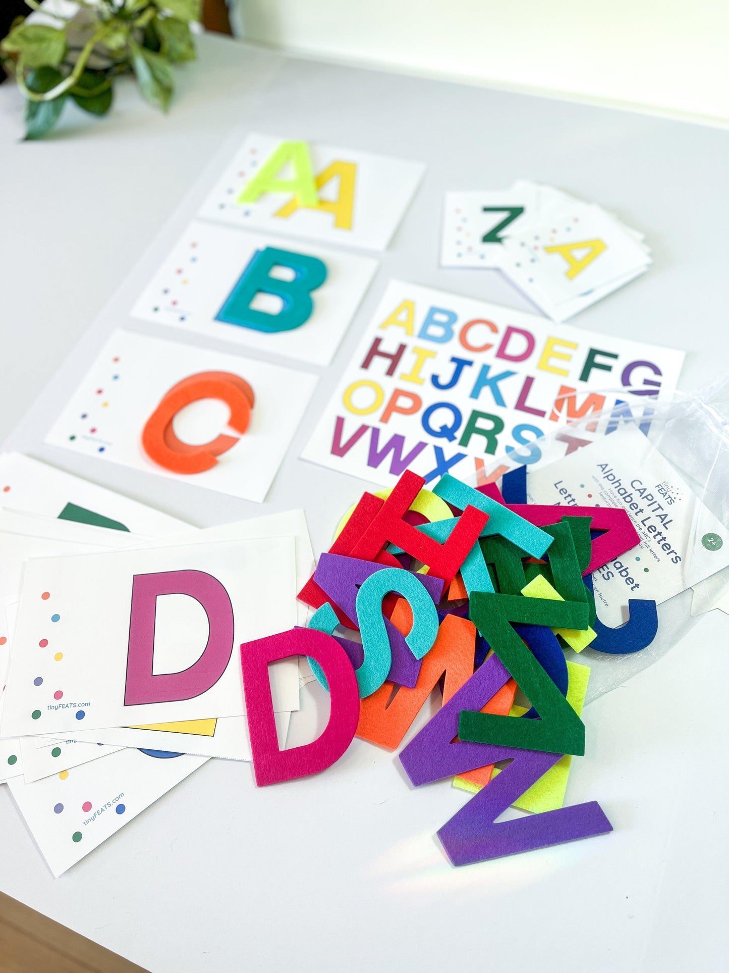 Alphabet Flash Cards