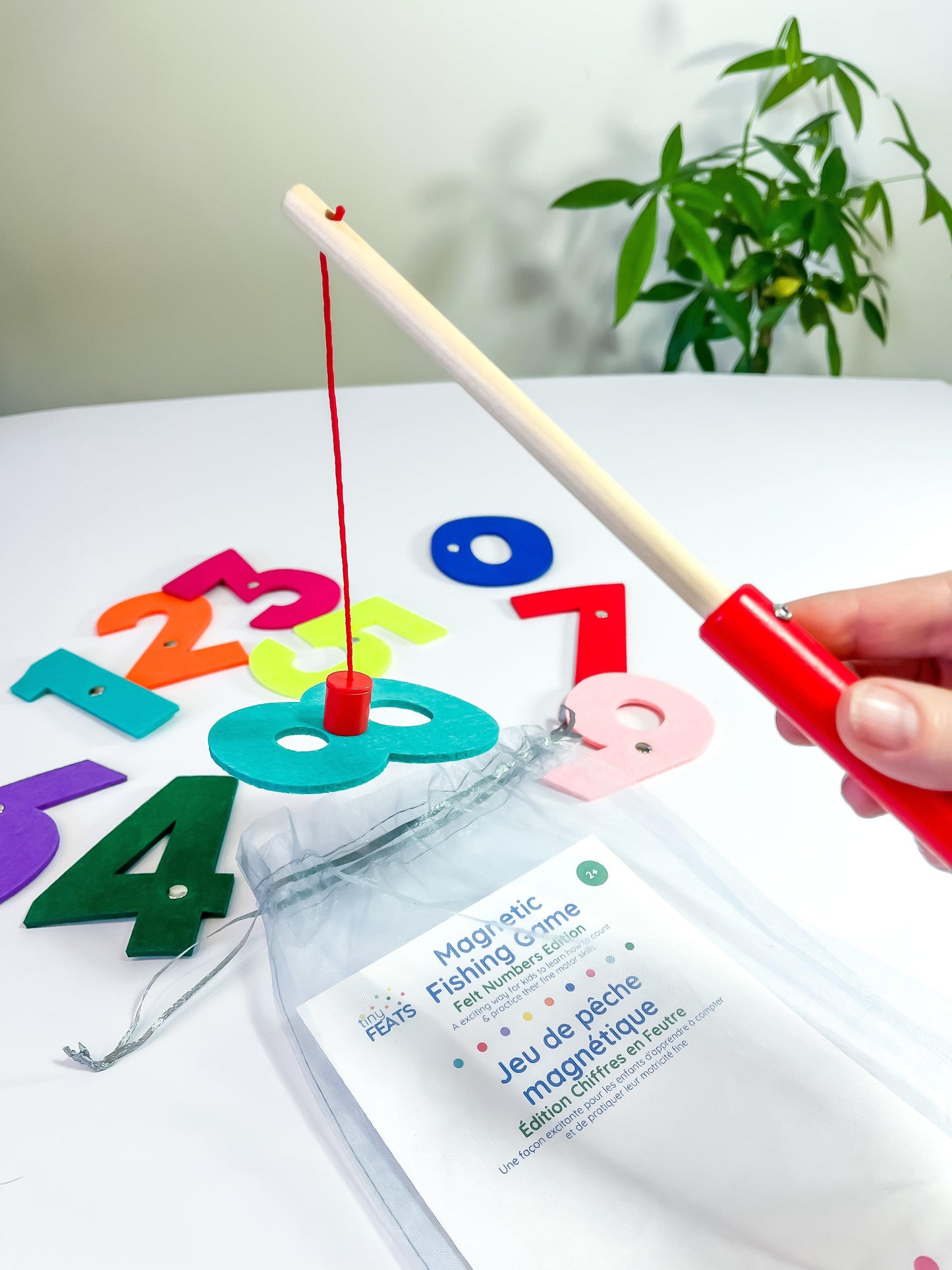 Fishing Game with Numbers