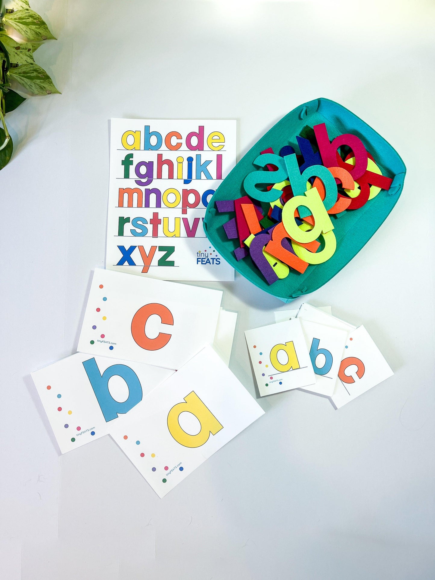 Flash Cards for Alphabet Letters