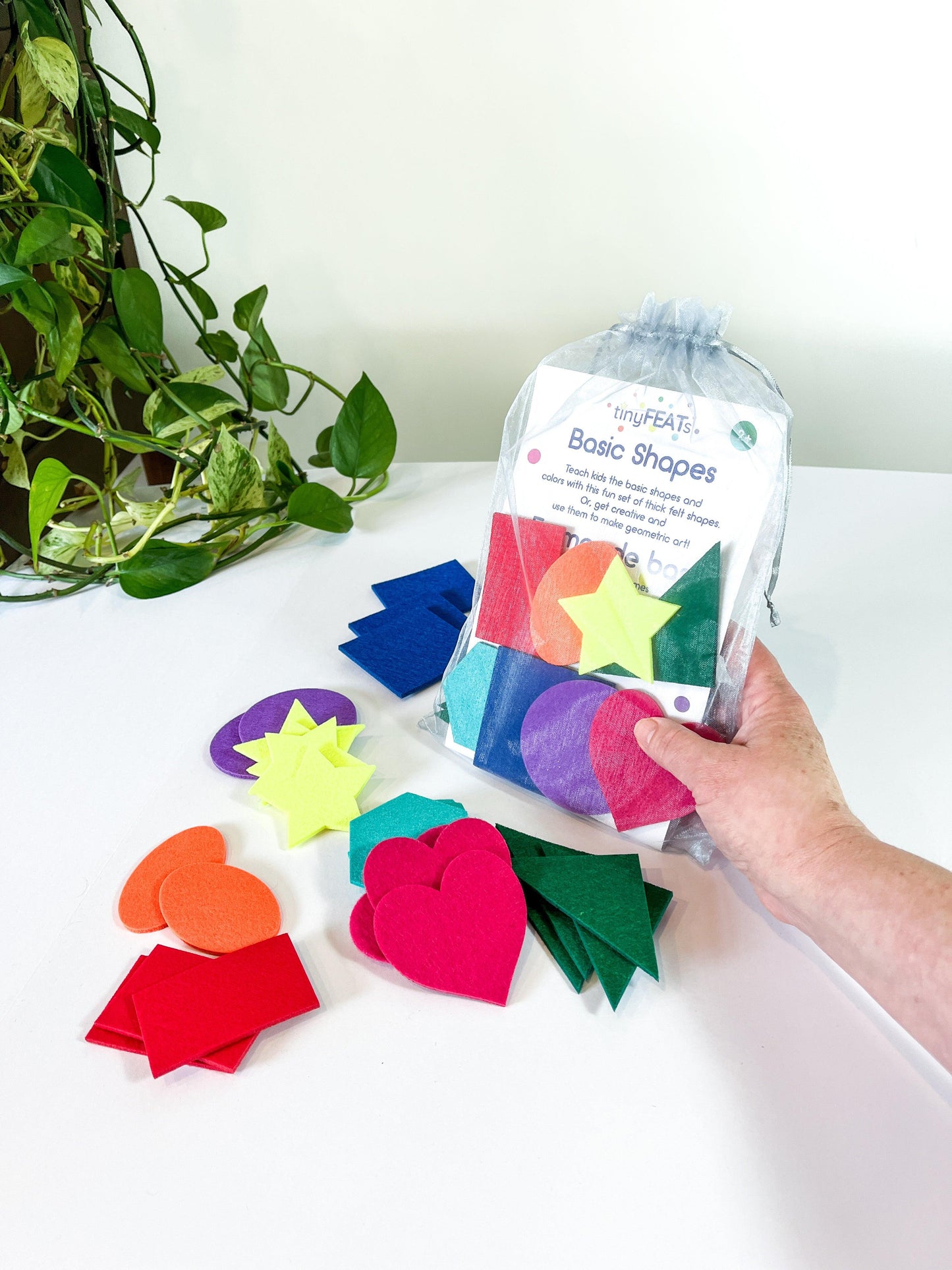 Toddler Play'n'Learn Kit