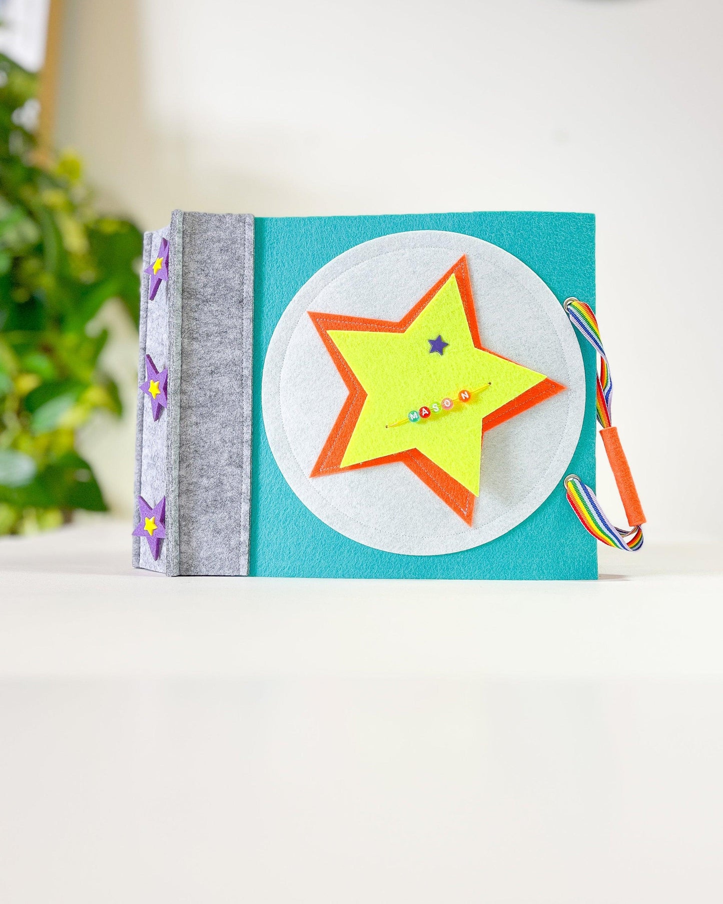 Kids Quiet Books