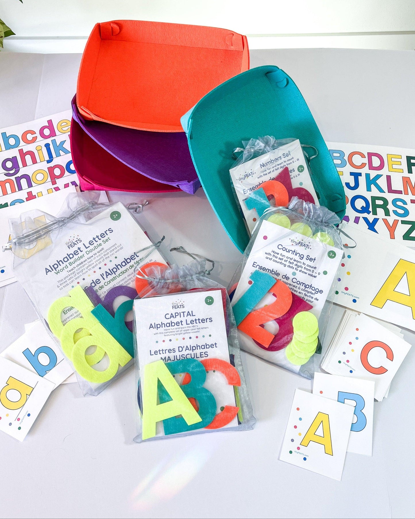 Letters and Numbers Essentials Bundle