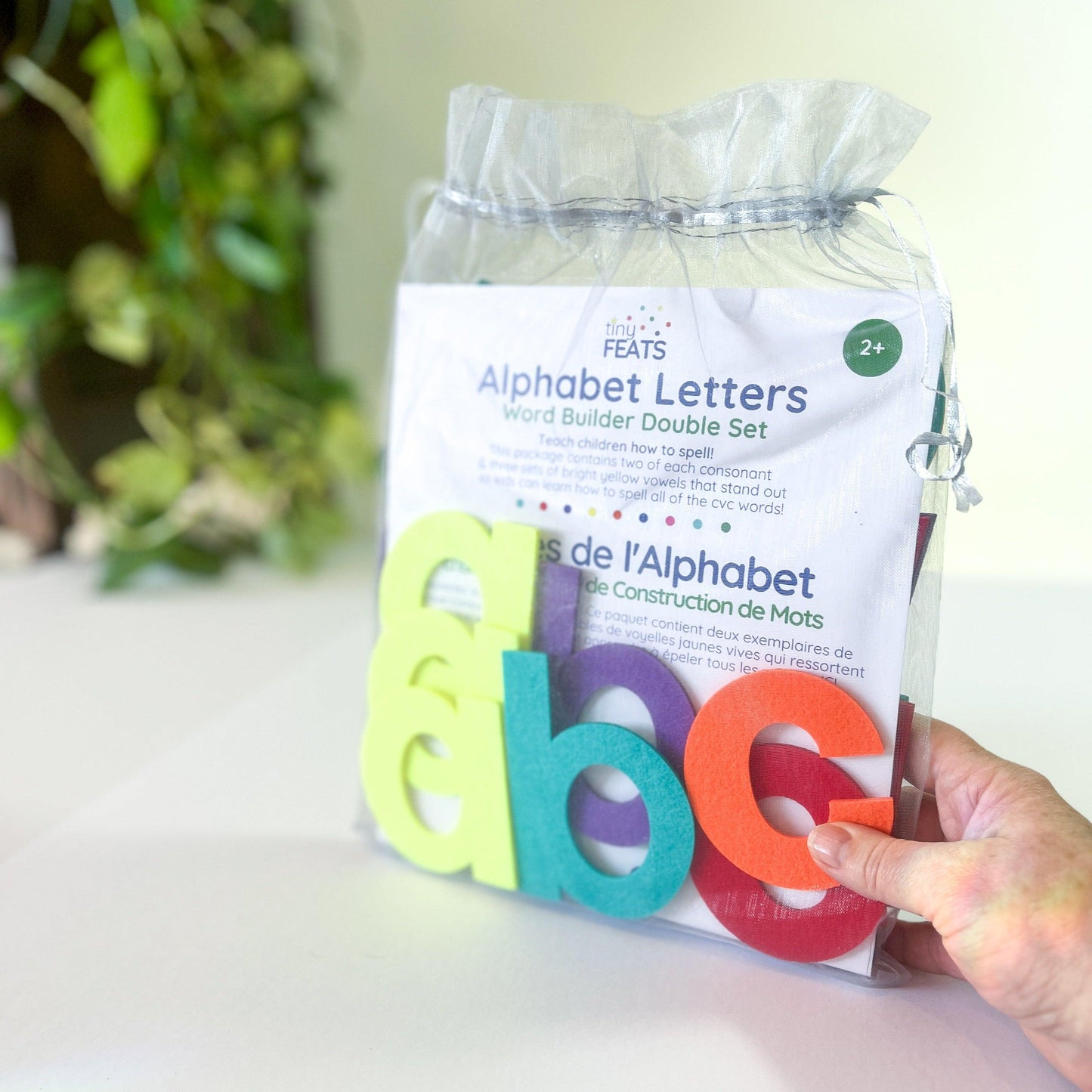 loewr case alphabet letters set