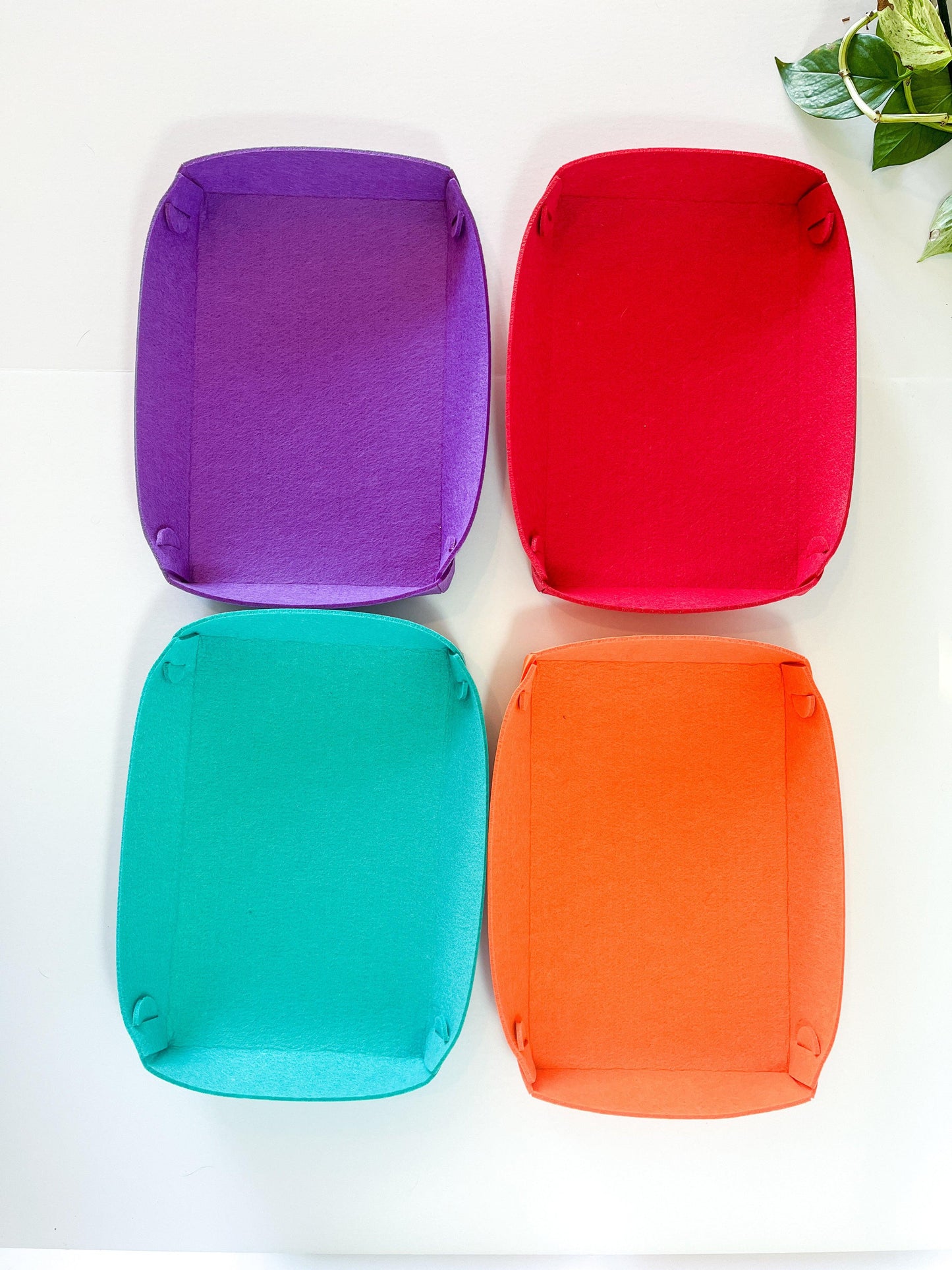 Montessori Trays