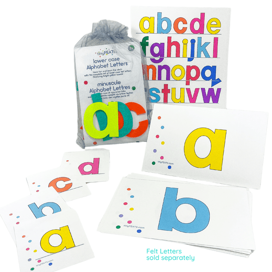 Lower Case Alphabet Flash Cards - tinyfeats