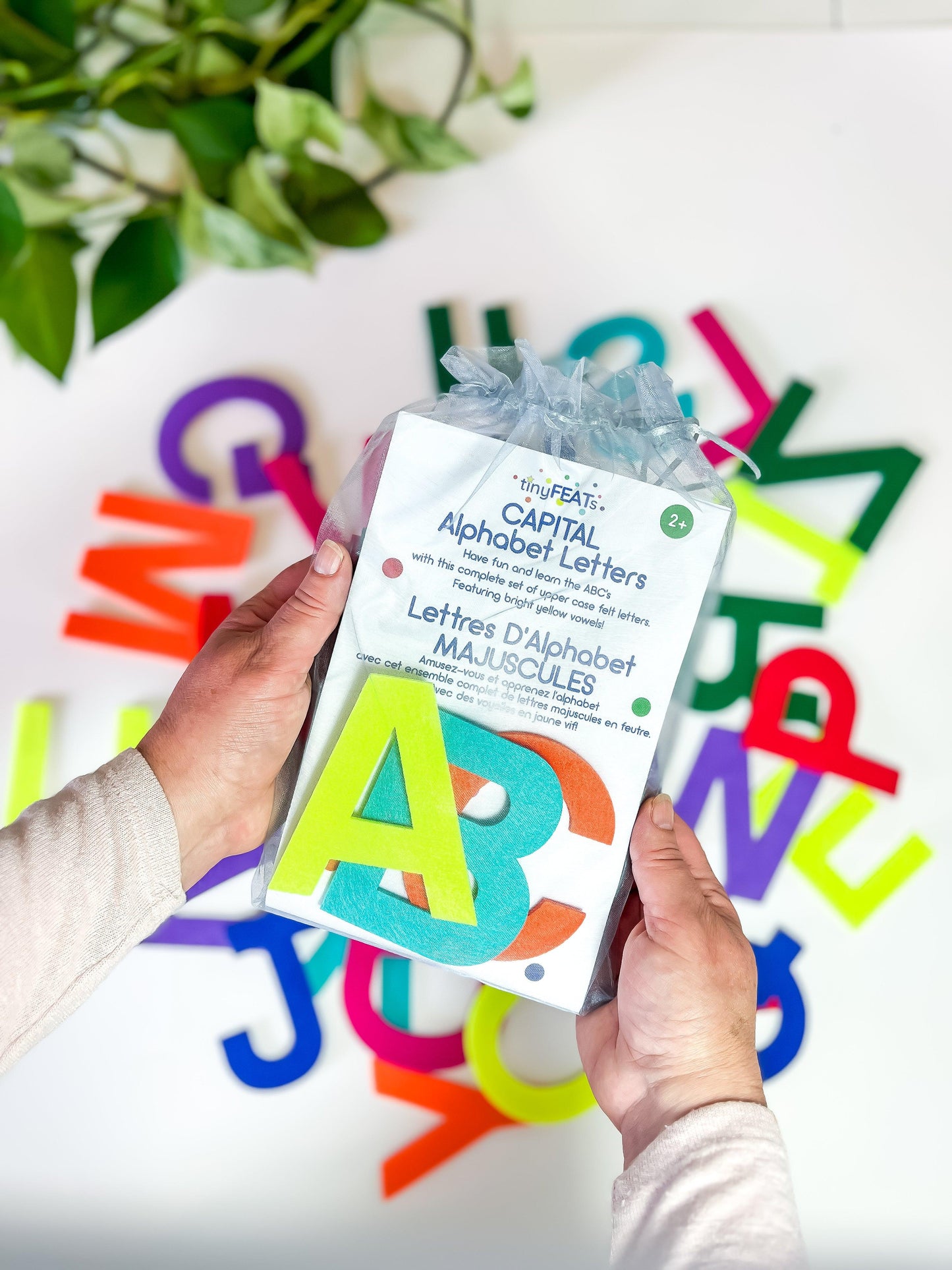 felt letters Capitals