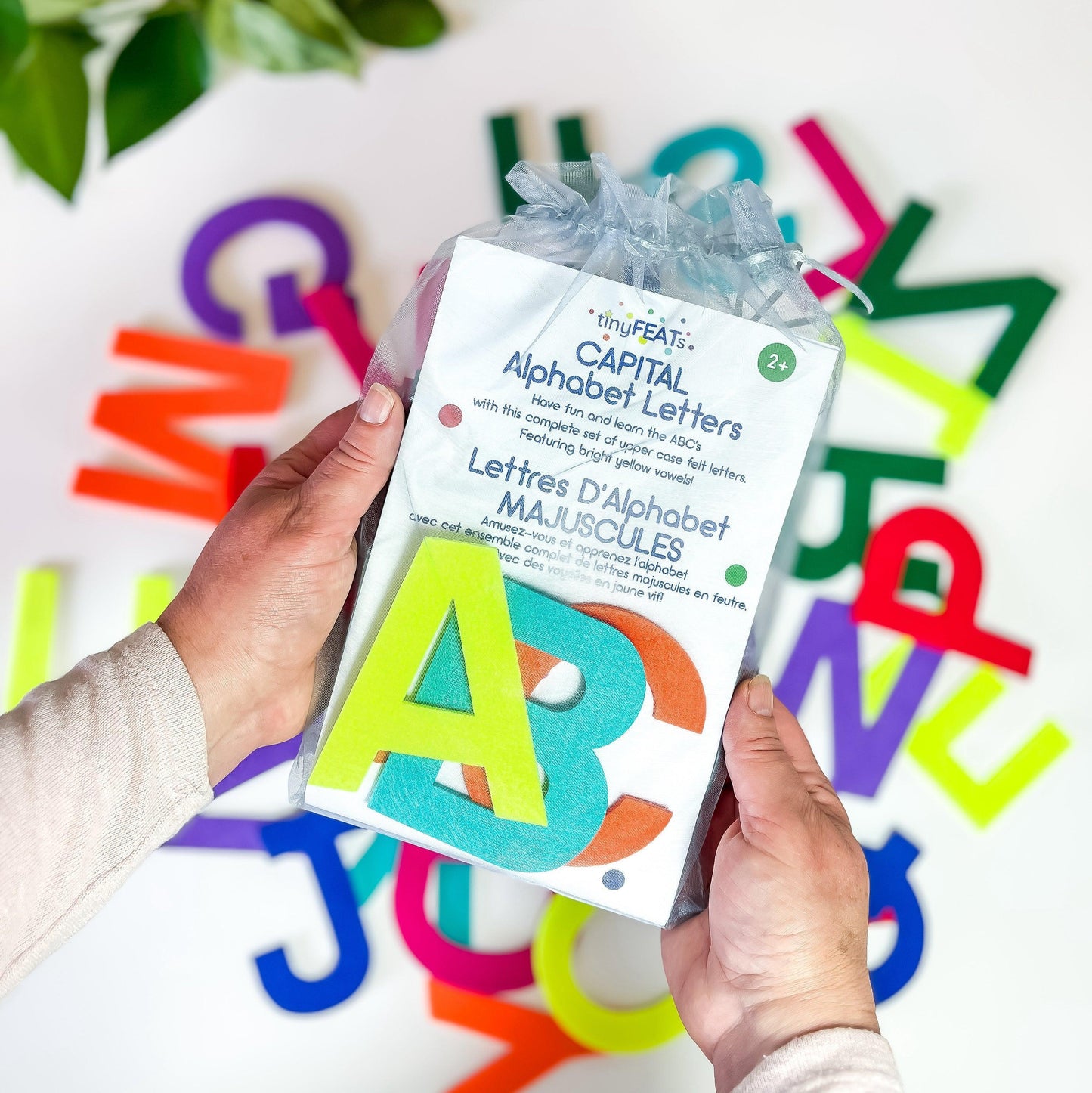 Capital Alphabet letter set felt