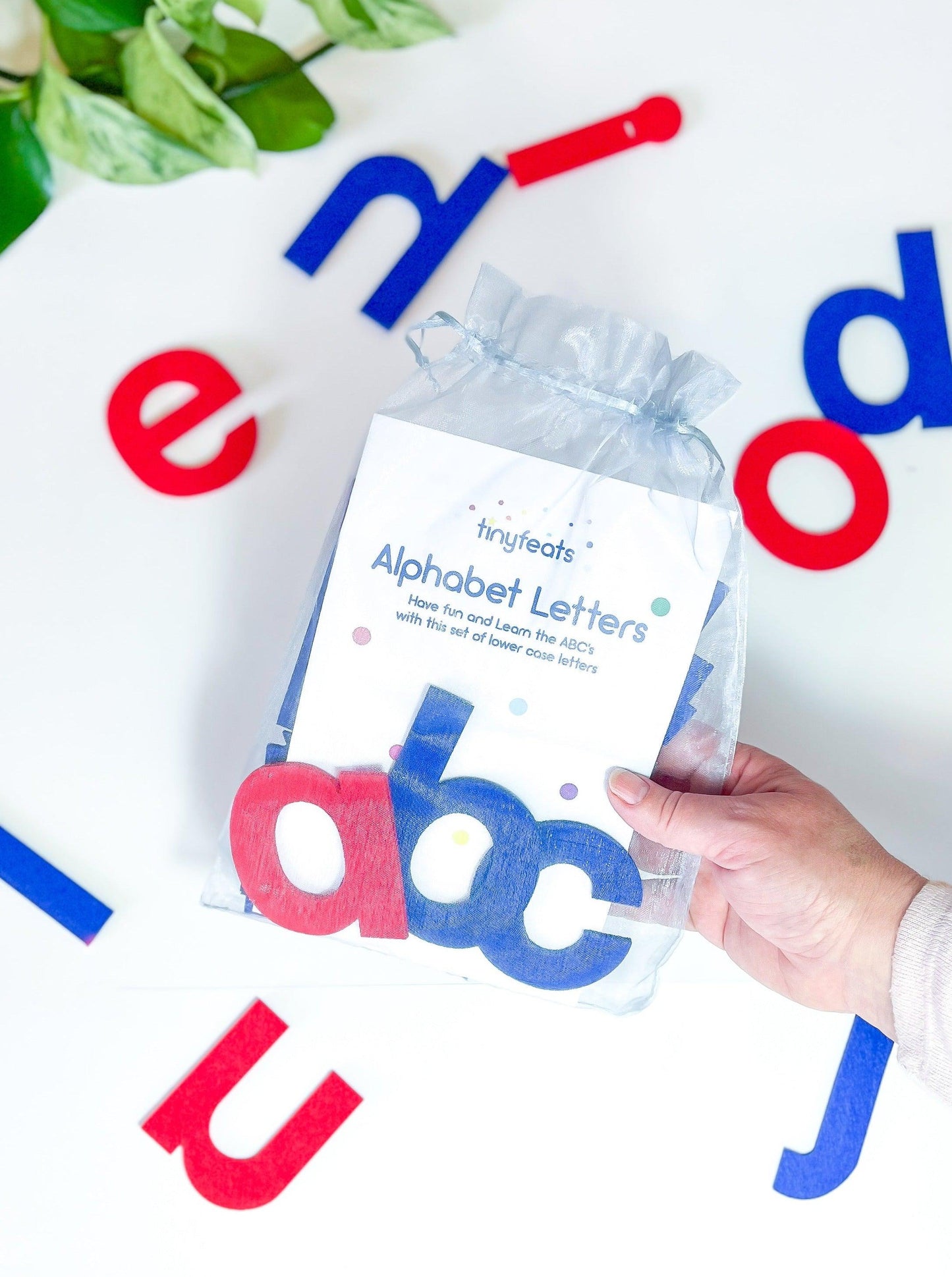 Montessori alphabets lower case