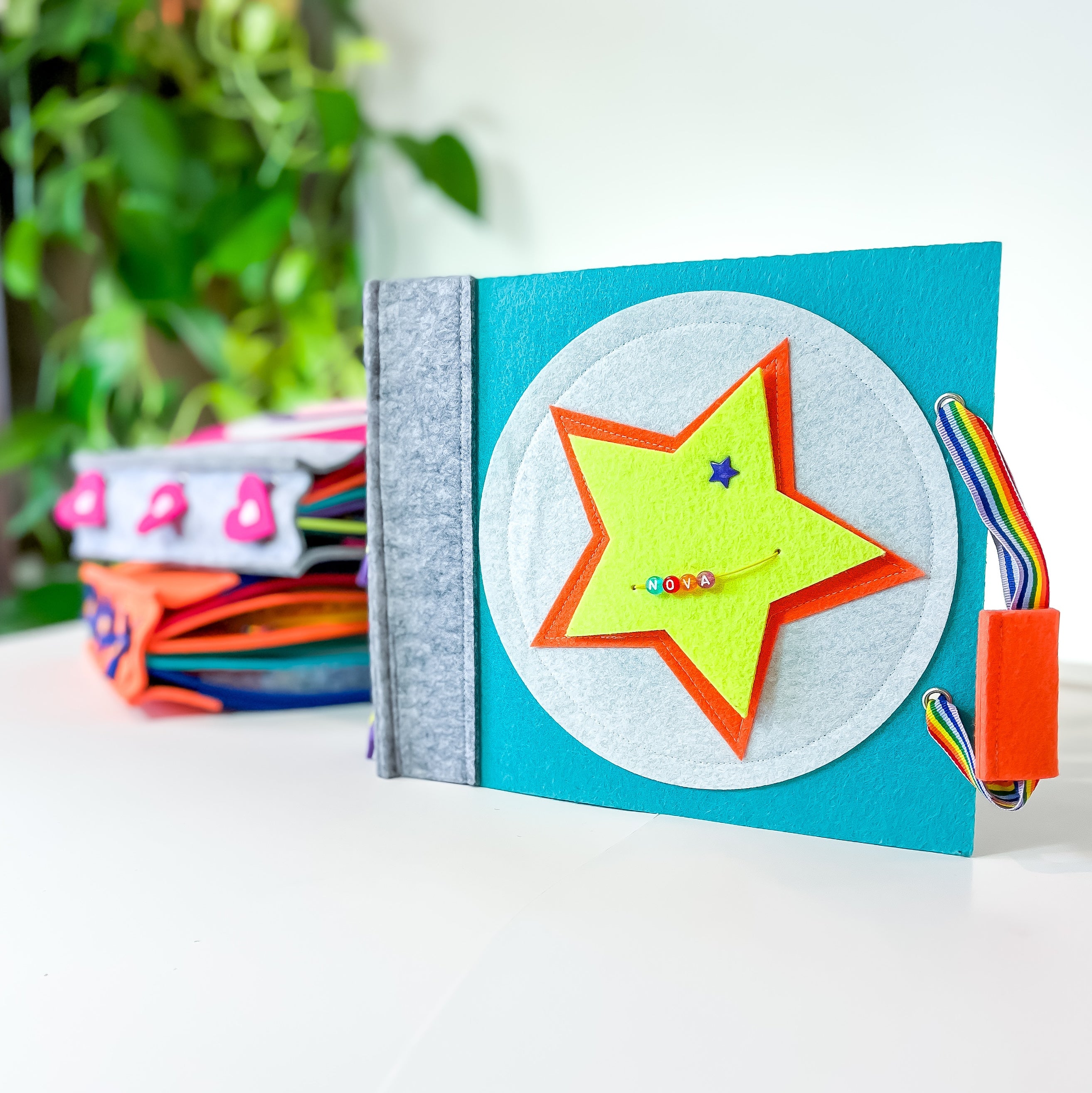 Childrens felt quiet book