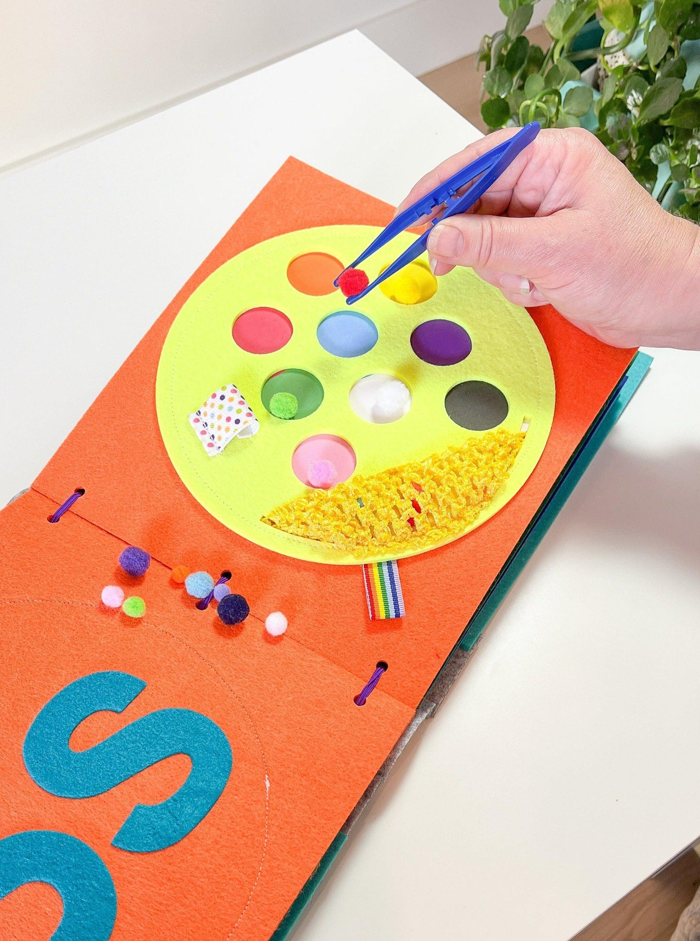 toddler sorting
