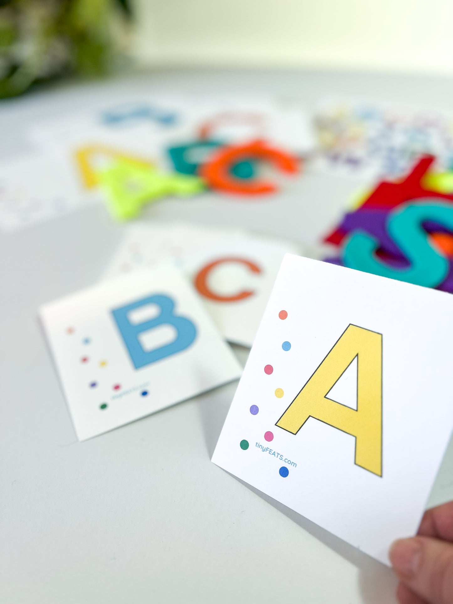 Free Printable Capital Letter flash cards