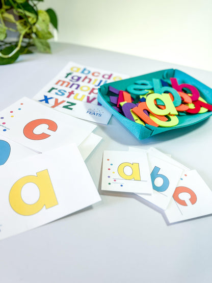 Lower Case Alphabet Flash Cards