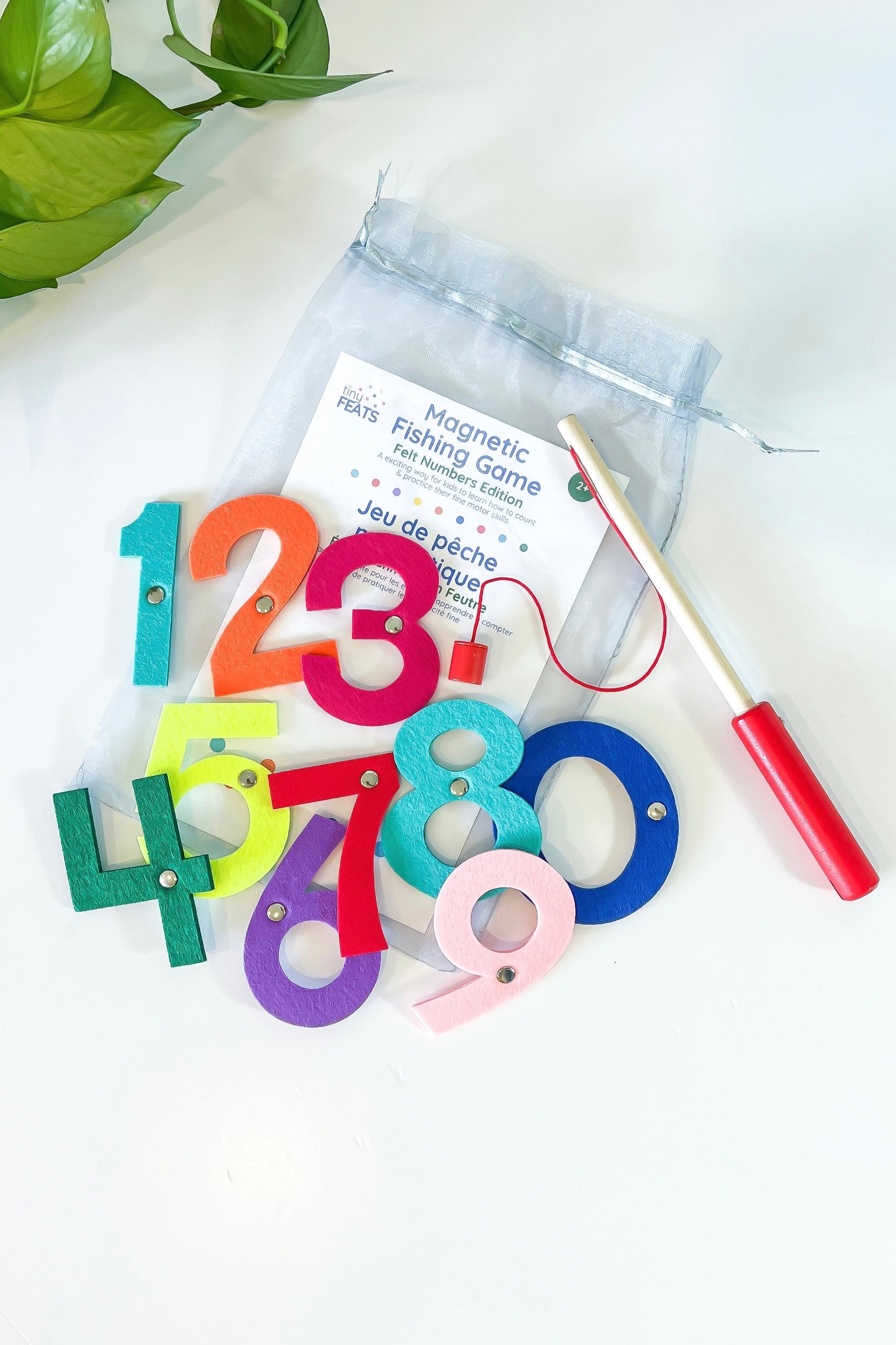 Montessori Counting