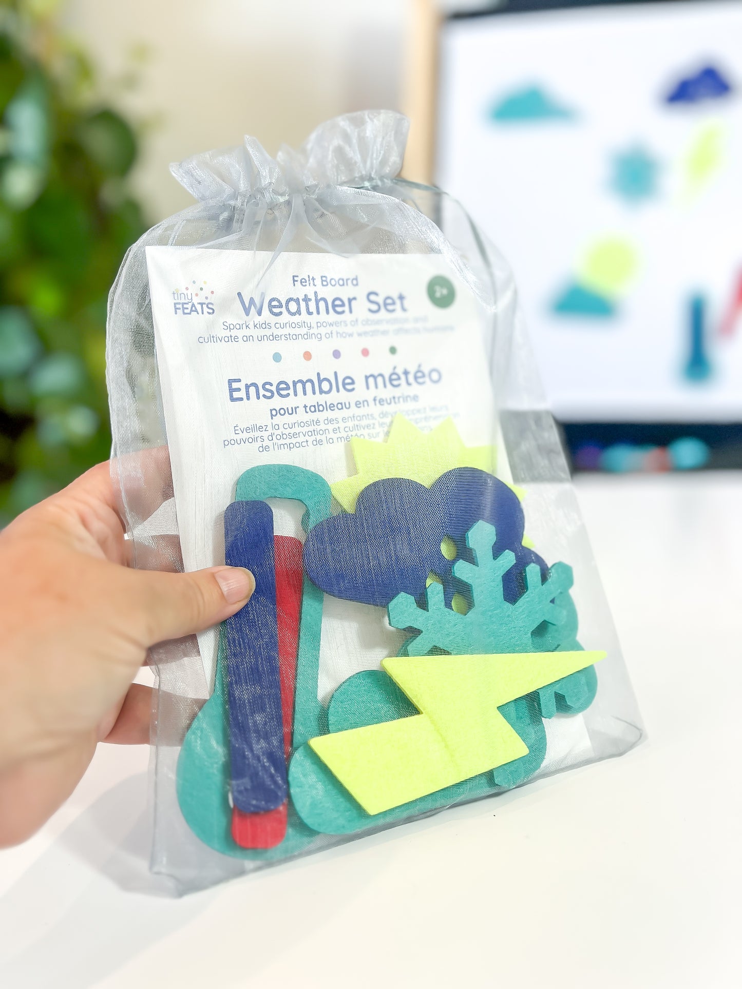 weather toys tinyfeats